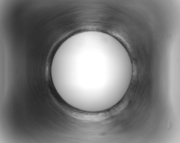 X0000088700016200705311025