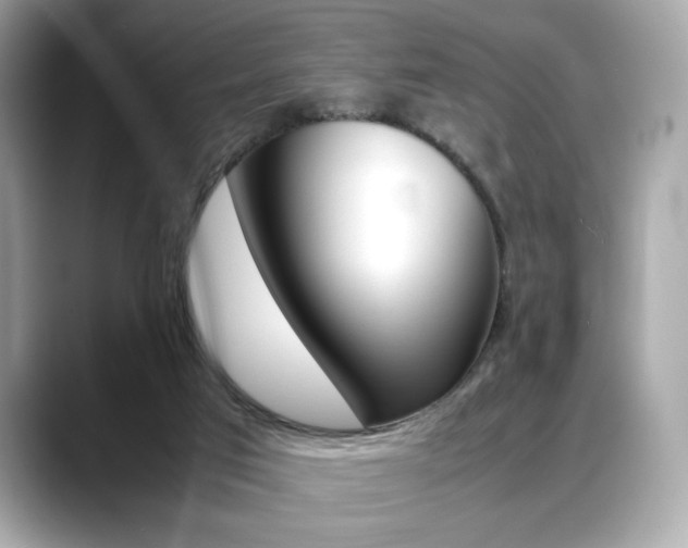 X0000088700017200705311024