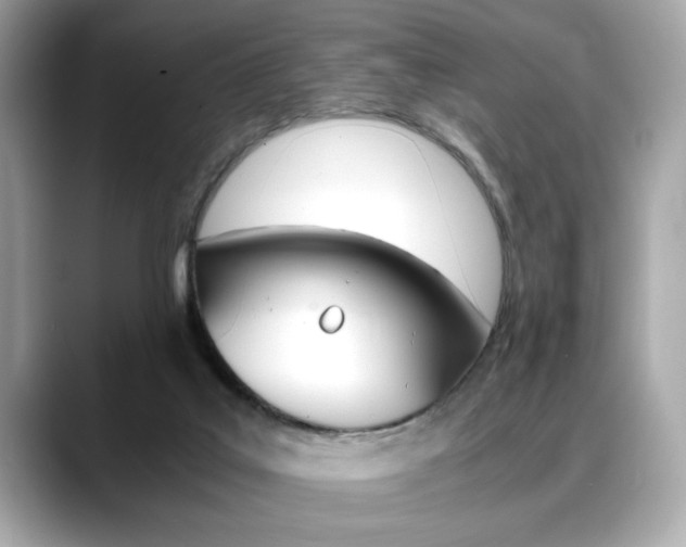 X0000088700019200705311024