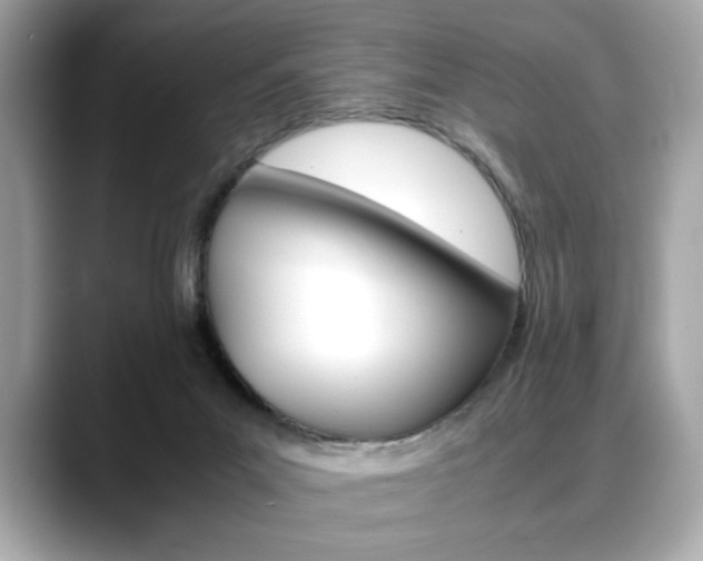X0000088700023200705311024