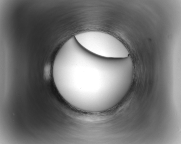 X0000088700024200705311024