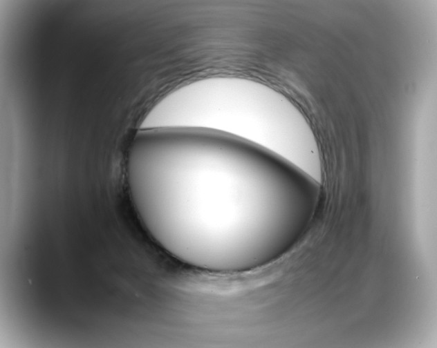 X0000088700029200705311024