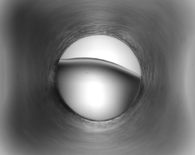 X0000088700035200705311024