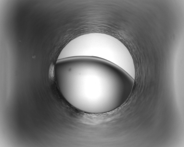 X0000088700041200705311024