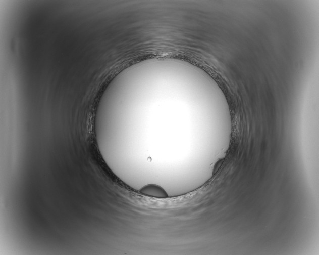 X0000088700043200705311024