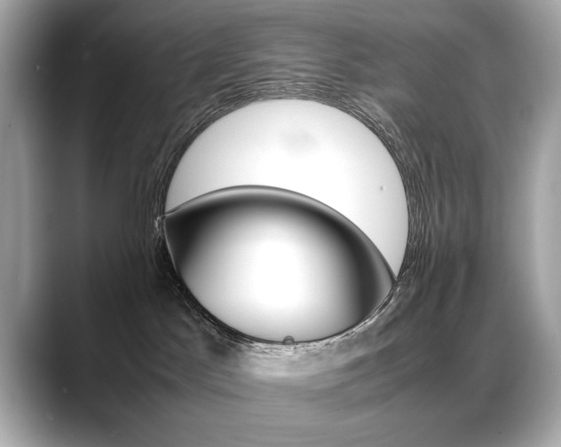 X0000088700045200705311024