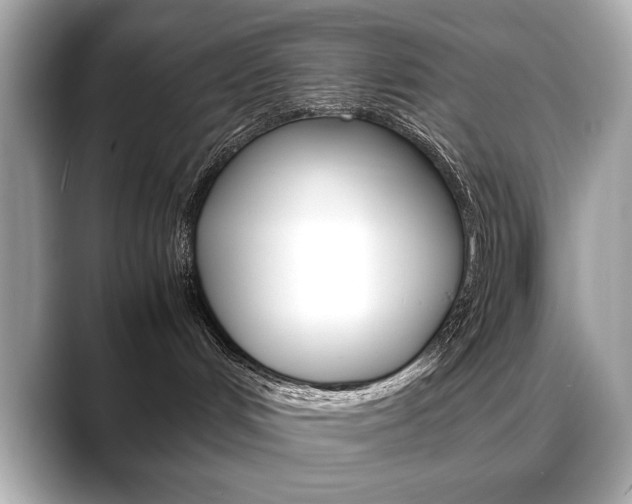 X0000088700048200705311024