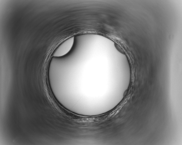 X0000088700049200705311023