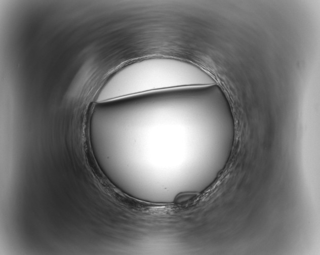 X0000088700050200705311023