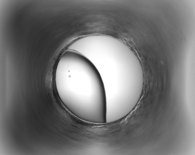 X0000088700054200705311023