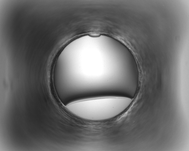X0000088700055200705311023