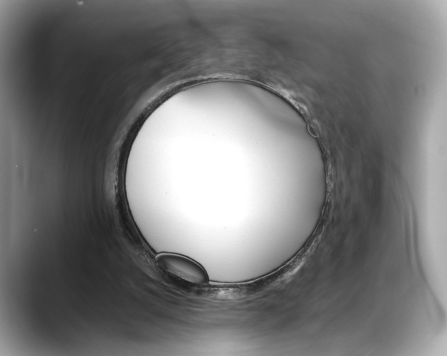X0000088700056200705311023