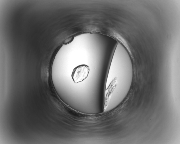 X0000088700059200705311024