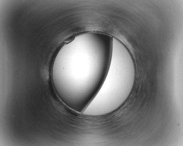 X0000088700060200705311024