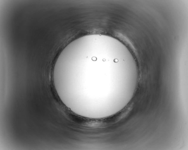 X0000088700065200705311024
