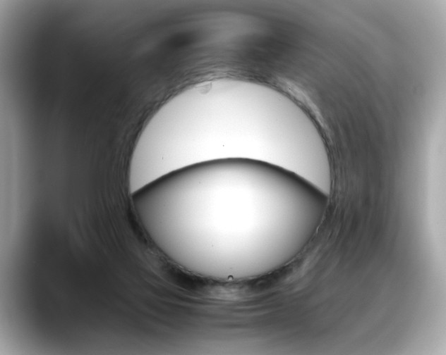 X0000088700069200705311024