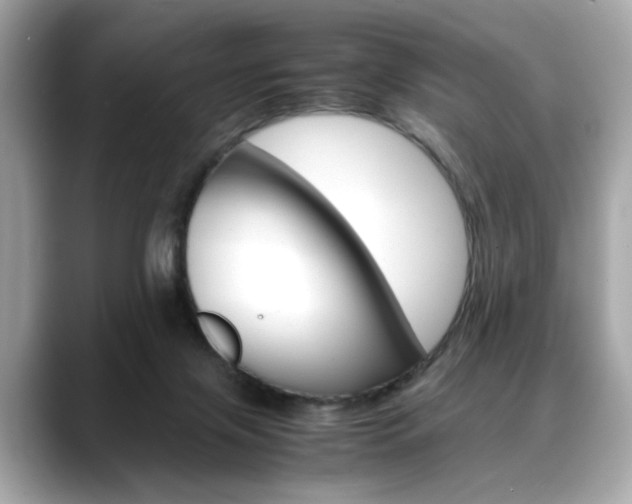 X0000088700071200705311024