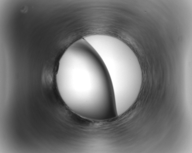 X0000088700072200705311024