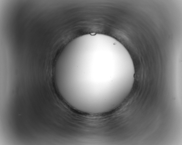 X0000088700077200705311024