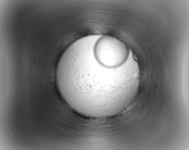 X0000088700078200705311024
