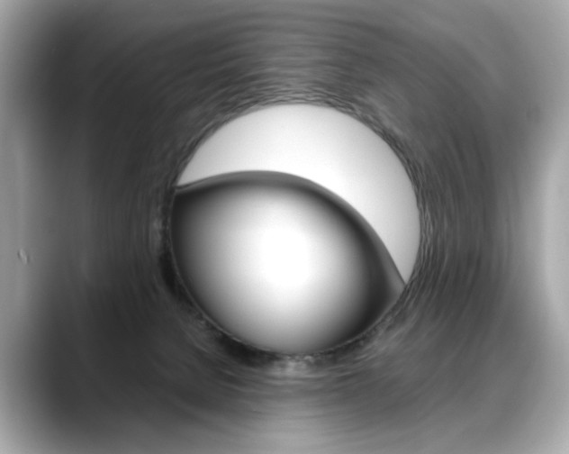 X0000088700080200705311024