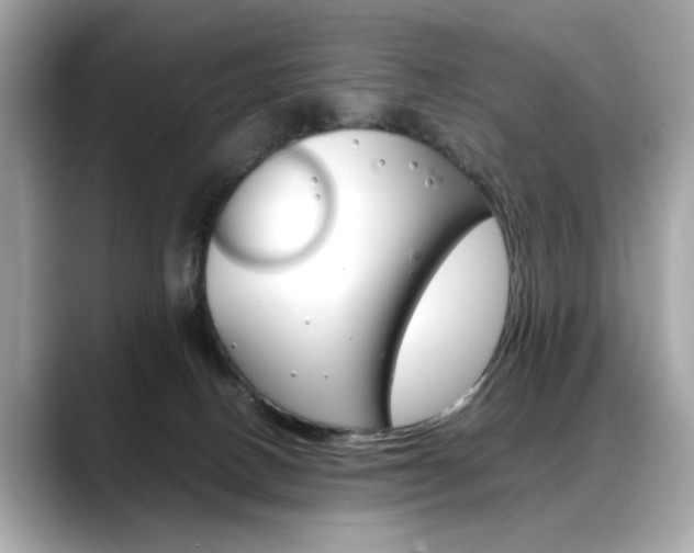 X0000088700082200705311024