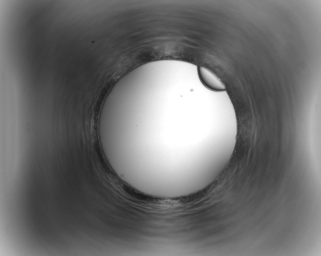X0000088700087200705311024