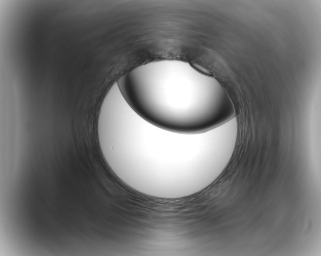 X0000088700088200705311024