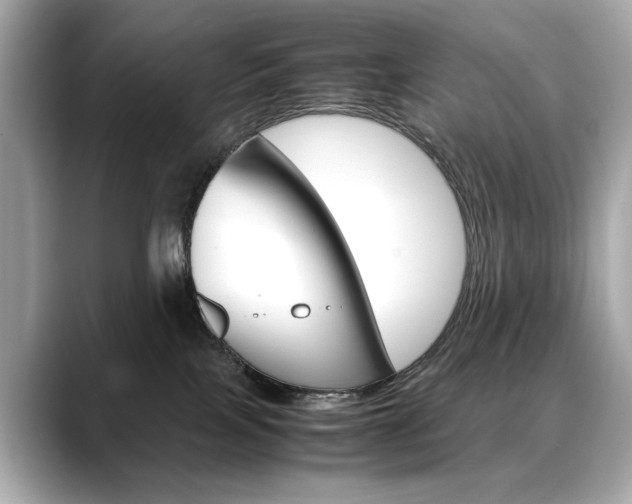 X0000088700089200705311024