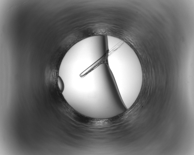 X0000088700093200705311024