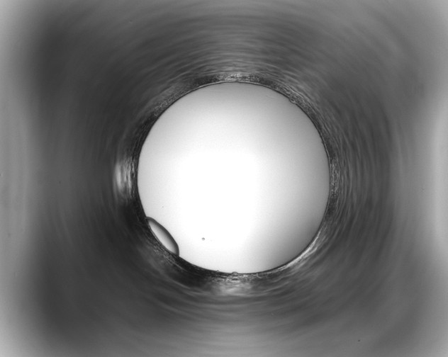 X0000088700094200705311024