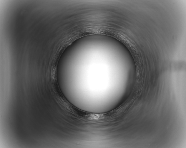 X0000088700096200705311024