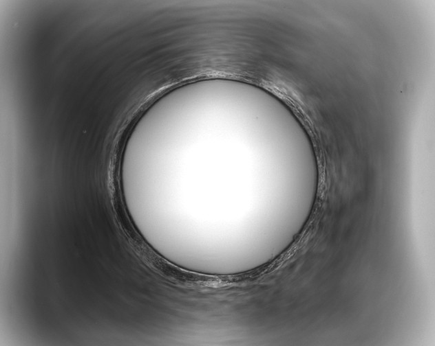 X0000088700098200705311023