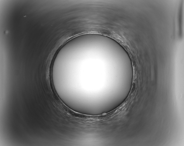 X0000088700099200705311023