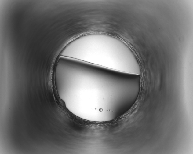 X0000088700100200705311023