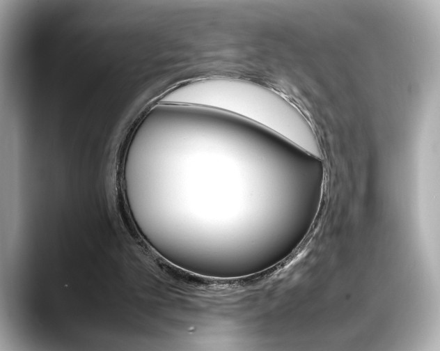 X0000088700101200705311023