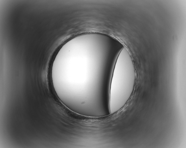 X0000088700104200705311023