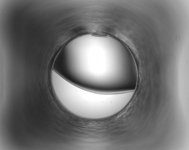 X0000088700105200705311023