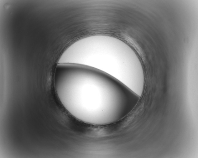 X0000088700113200705311023