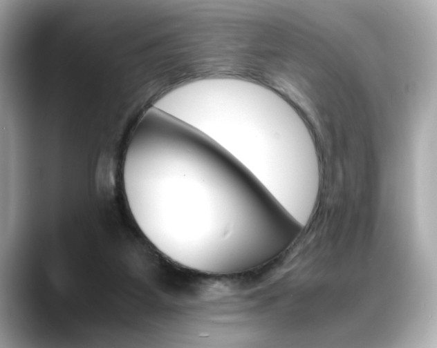 X0000088700115200705311023