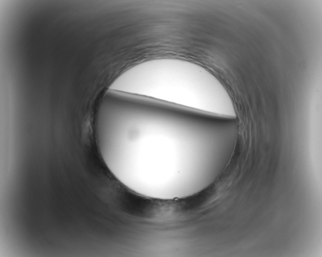 X0000088700127200705311023