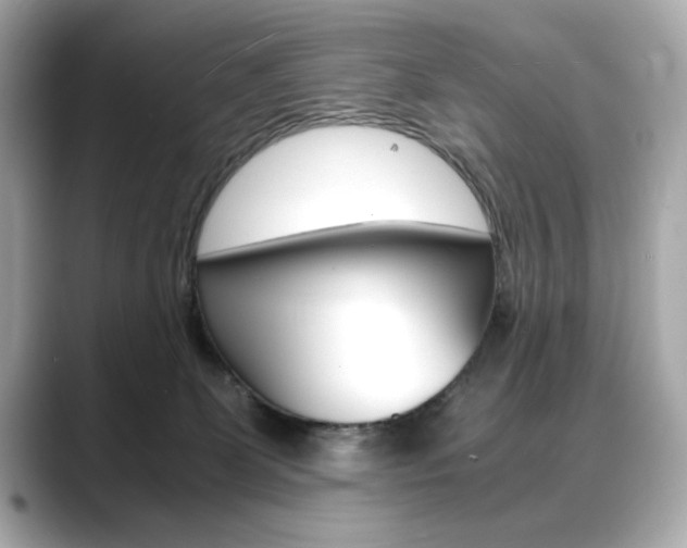 X0000088700131200705311023