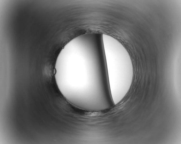 X0000088700135200705311023