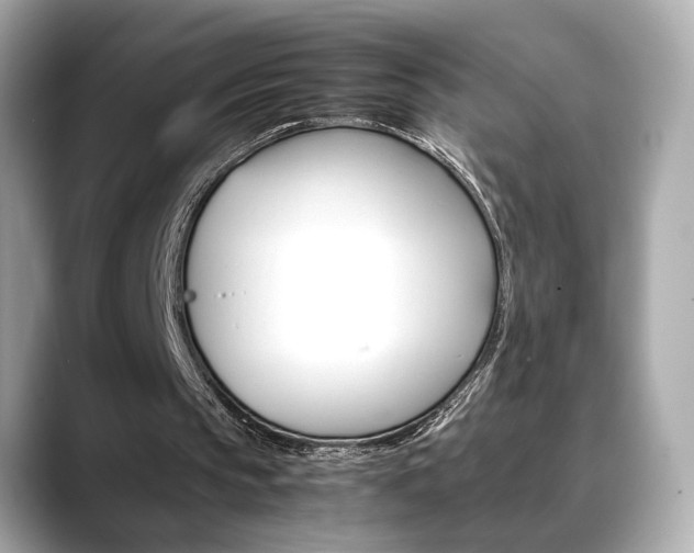 X0000088700145200705311022