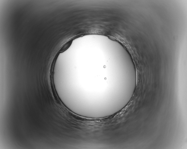 X0000088700147200705311022