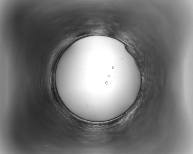 X0000088700149200705311022