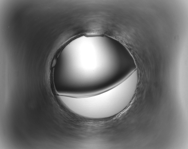 X0000088700150200705311022