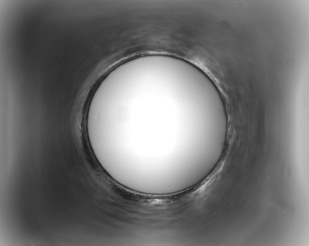 X0000088700151200705311022