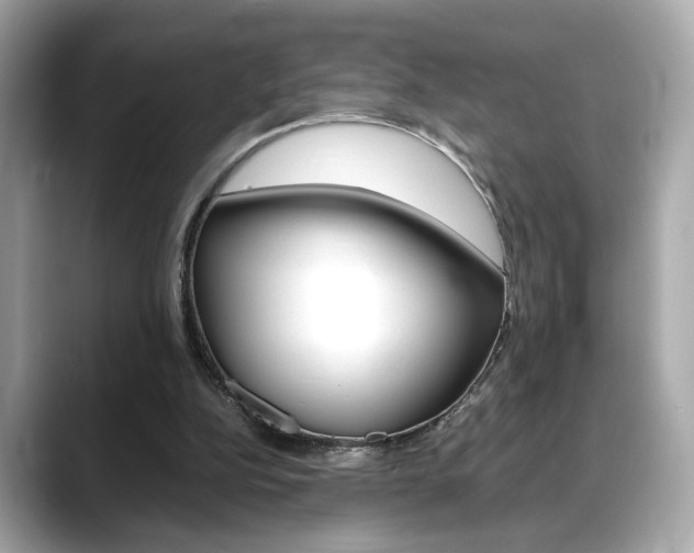 X0000088700152200705311022