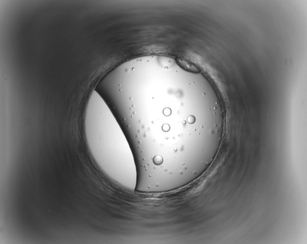 X0000088700153200705311022